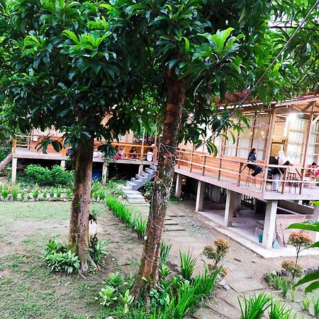 Bua Guesthouse Tangkahan Extérieur photo