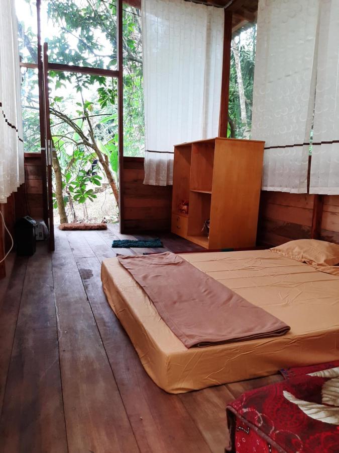Bua Guesthouse Tangkahan Extérieur photo