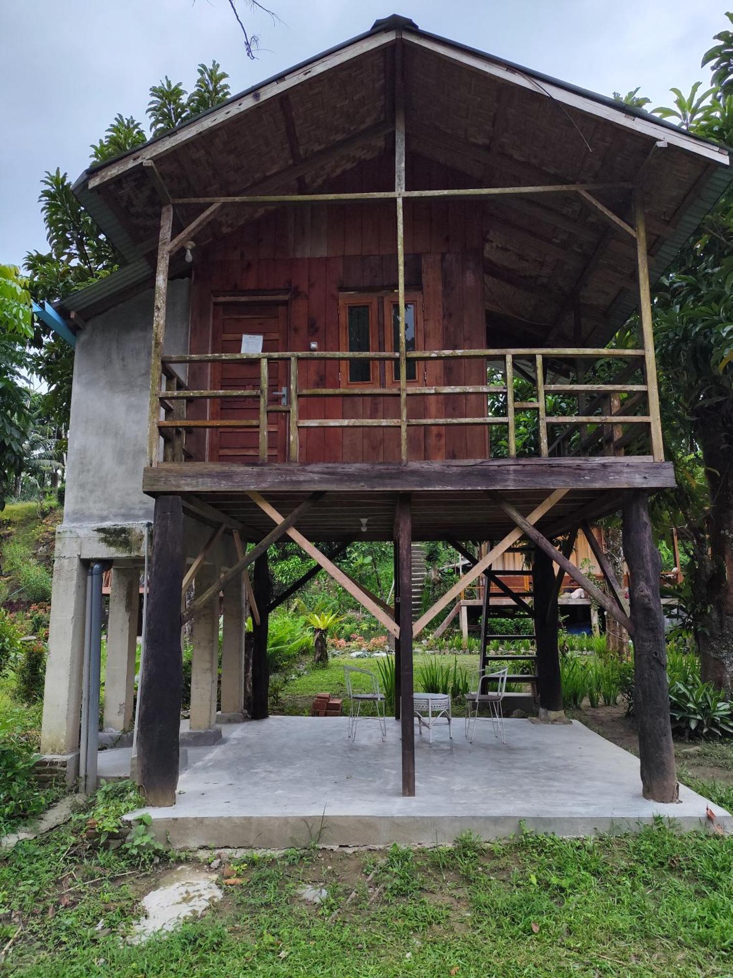Bua Guesthouse Tangkahan Extérieur photo